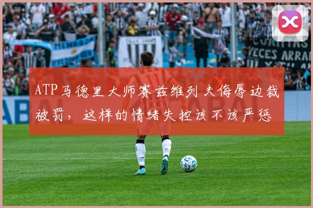 ATP马德里大师赛兹维列夫侮辱边裁被罚，这样的情绪失控该不该严惩？